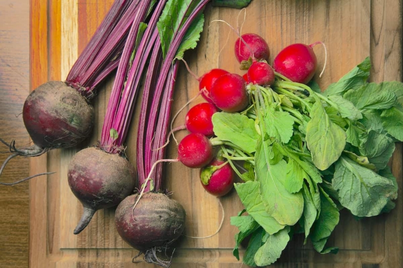 Củ dền (bên trái) và củ cải đỏ (bên phải) đều là rau củ mùa Đông tốt cho sức khỏe