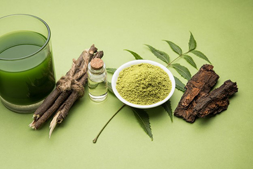 Lá neem có thể giúp phòng ngừa biến chứng thần kinh đái tháo đường