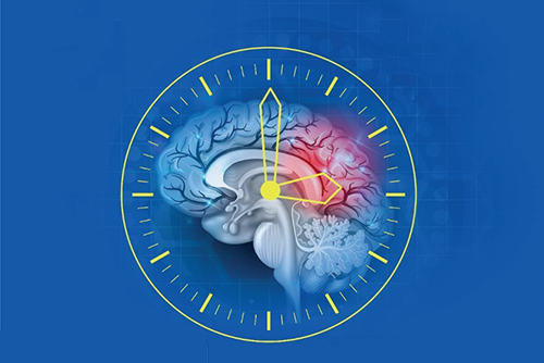 Người bệnh tai biến mạch máu não được cấp cứu trong “thời gian vàng” sẽ hạn chế tối đa sự tổn thương não