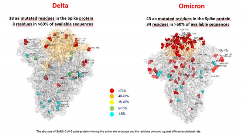 Hình ảnh so sánh biến chủng Delta và Omicron -  Ảnh: Reuters.