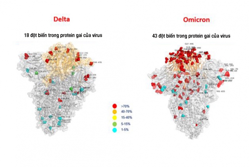 Các nhà khoa học Italy trình bày hình ảnh so sánh đột biến của Omicron và Delta - Ảnh: ANSA