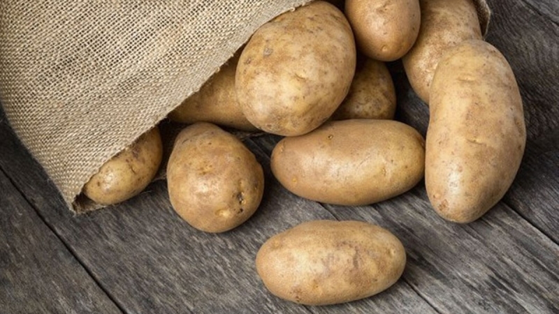 Cách bảo quản khoai tây là để trong môi trường thoáng khí, tránh ánh sáng