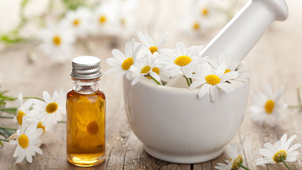 Dầu hoa cúc là một trong những phương pháp tự nhiên giúp cải thiện chứng đau đầu