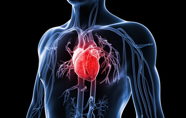 Huyết áp cao lâu ngày dễ gây biến chứng tổn thương động mạch