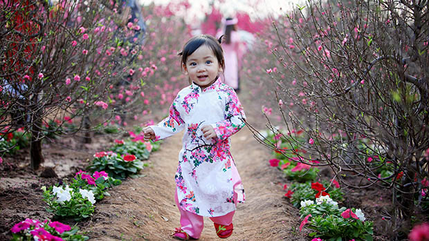 Đến vườn đào Nhật Tân và chụp ảnh ngày Tết - Ảnh: Nguyễn Hiệp