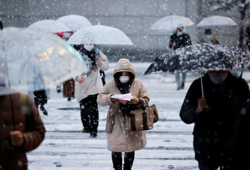 Đặc biệt tại thủ đô Tokyo, 4 năm trở lại đây mới có đợt tuyết rơi dày như vậy. Lần gần nhất Tokyo có tuyết rơi là tháng 3/2020 đã thu hút nhiều người ra phố để chụp hình và vui chơi