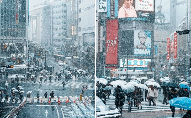 Giao lộ Shibuya - một trong những địa danh nổi tiếng nhất nước Nhật những ngày này vẫn hối hả người qua lại, chỉ khác là trong khung cảnh tuyết trắng lất phất đẹp đến nao lòng