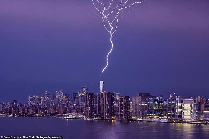 Ấn tượng thiên nhiên kỳ vĩ tại Giải thưởng Nhiếp ảnh New York 2021 - Ảnh 2