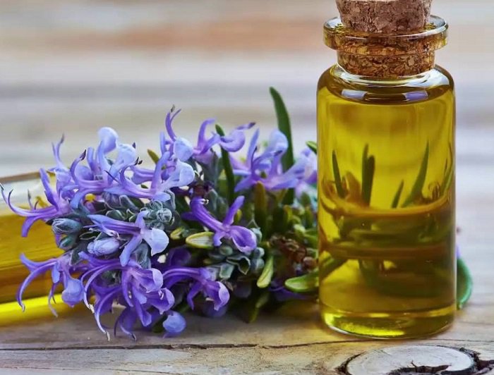 Tinh dầu hương thảo giúp bạn khắc phục tình trạng khô tóc hiệu quả