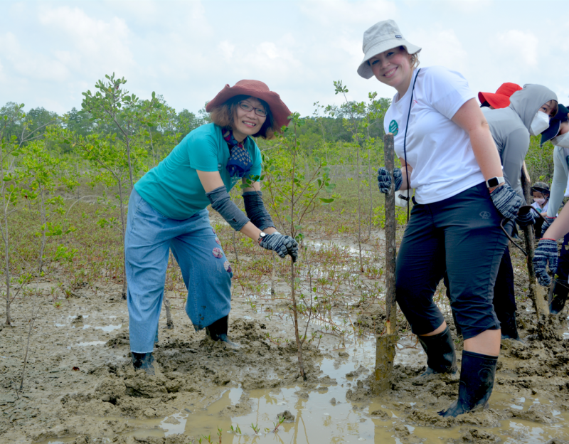 Nhân viên Takeda Việt Nam đã trồng hơn 500 cây xanh tại Khu Dự trữ Sinh quyển Cần Giờ vào cuối tuần qua
