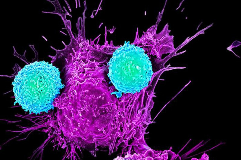 Liệu pháp miễn dịch giải phóng và kích thích tế bào T chống lại tế bào ung thư