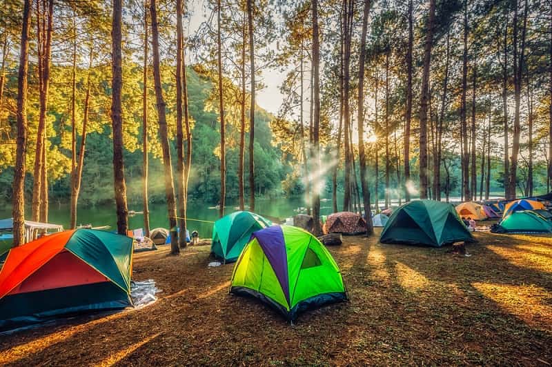 Vườn quốc gia Ba Vì là địa điểm cắm trại lý tưởng
