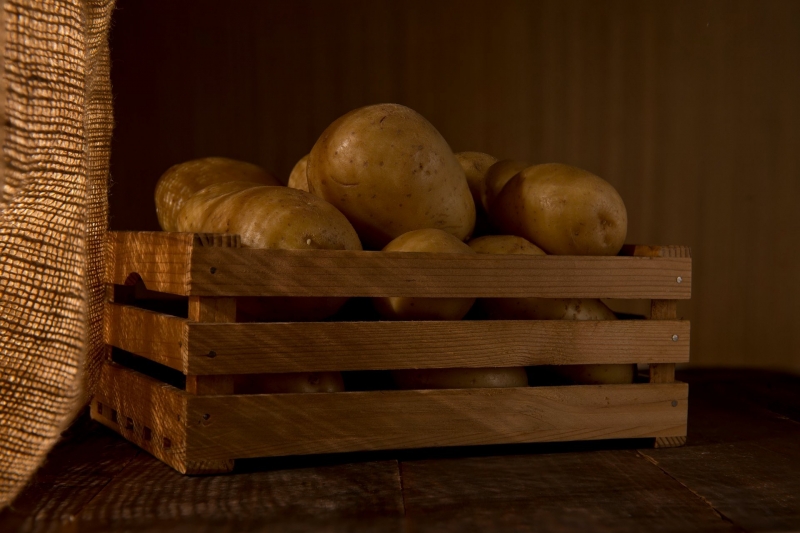 Bảo quản khoai tây ở nơi mát mẻ, tránh ánh sáng trực tiếp