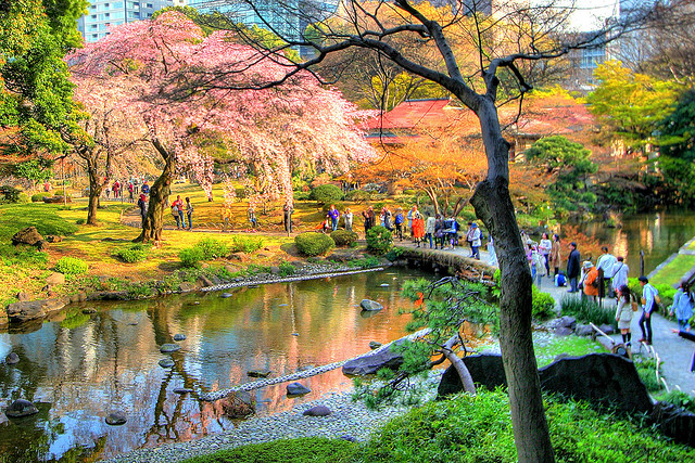 Vườn Koishikawa Kokaru-en, Tokyo, Nhật Bản: Là một trong những công viên cổ xưa nhất thành phố, khu vườn này được xây dựng năm 1629 và tồn tại đến bây giờ. Nơi này đẹp nhất là vào mùa xuân và mùa thu, khi hoa nở hay lá chuyển màu.
