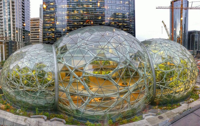 Vườn cầu Seattle, Washington, Mỹ: Những khối cầu trông như phim viễn tưởng này là nơi trồng hơn 40.000 cây. Thiết kế theo phong cách sinh học này đang được ưa chuộng để ứng dụng thiết kế các tòa nhà ở khắp nơi trên thế giới.