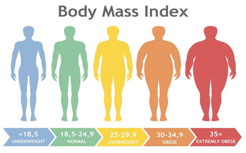 Chỉ số đo BMI cho thấy sự mập ốm của một người