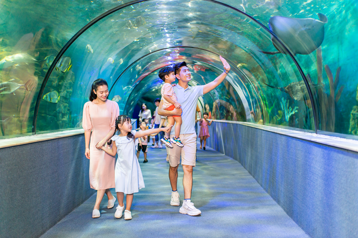 Đến với thủy cung Vinpearl Aquarium Times City trẻ sẽ được khám phá một đại dương đầy màu sắc giữa lòng Hà Nội