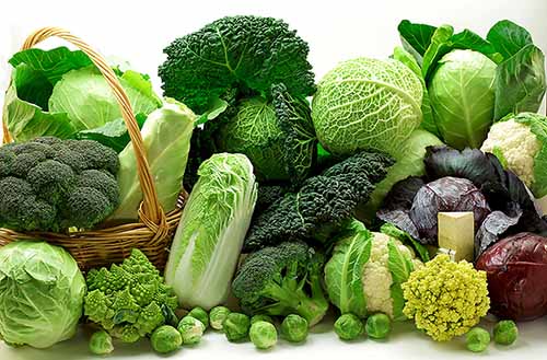 Rau xanh giàu các chất dinh dưỡng và vitamin tốt cho hệ tiêu hóa