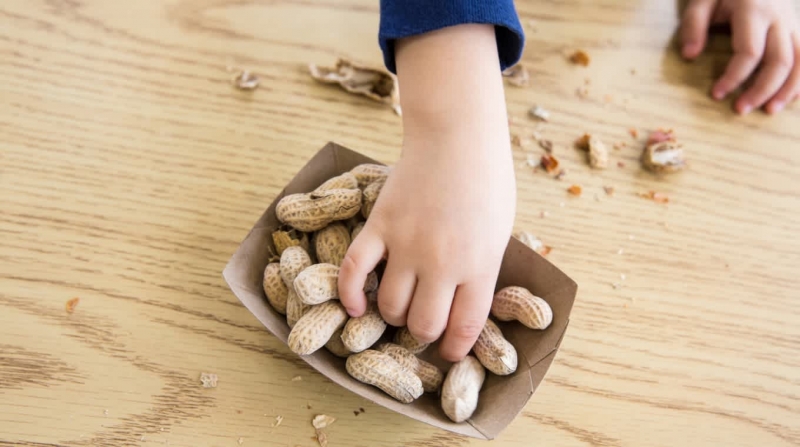 Lạc và nhiều loại hạt khác là thực phẩm dễ gây hóc cho trẻ
