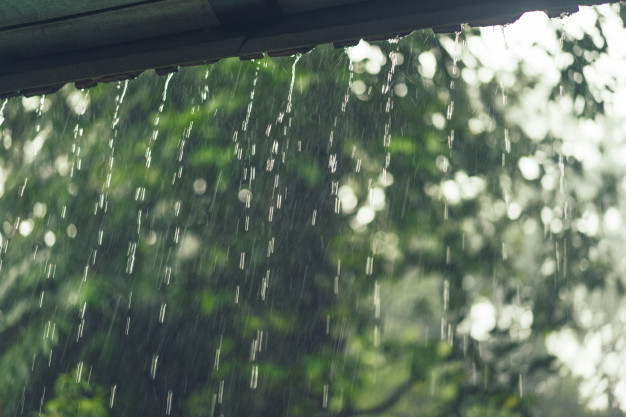Tiếng mưa rơi là dạng tiếng ồn hồng trong tự nhiên 
