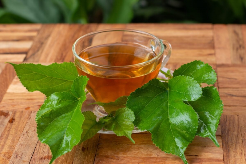 Ngoài dùng để làm trà, lá dâu tằm còn được chế biến trong các món ăn.