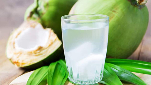 Uống nước dừa có thể giúp người bệnh sốt xuất huyết nhanh phục hồi