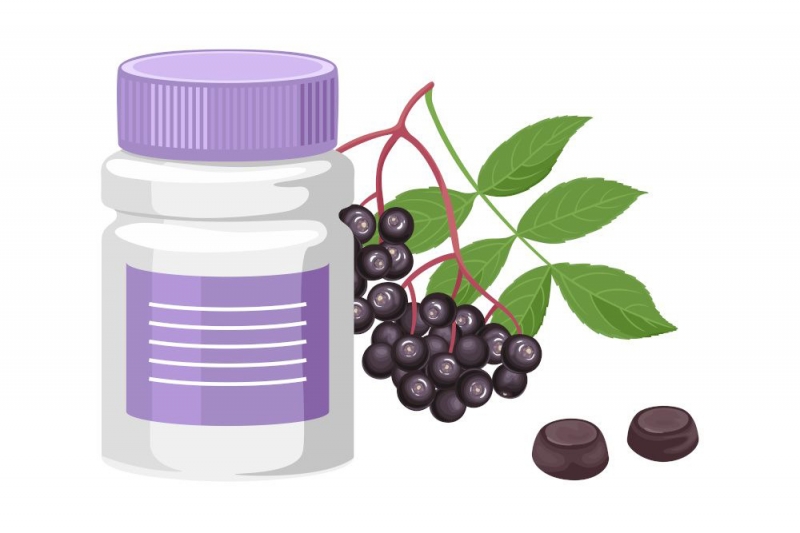 Quả cơm cháy (elderberry) giàu anthocyanin là nguyên liệu trong nhiều sản phẩm thực phẩm bổ sung dinh dưỡng
