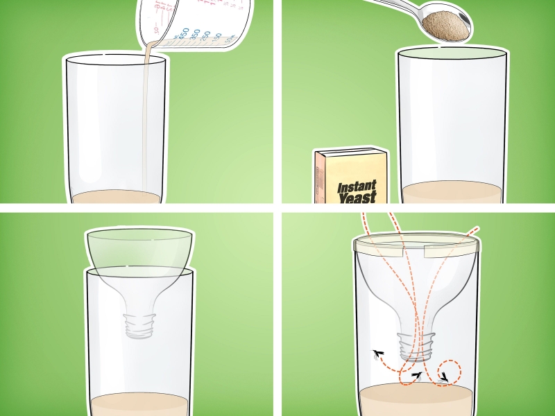 Bẫy diệt muỗi đơn giản làm từ chai nhựa - Ảnh: Wikihow