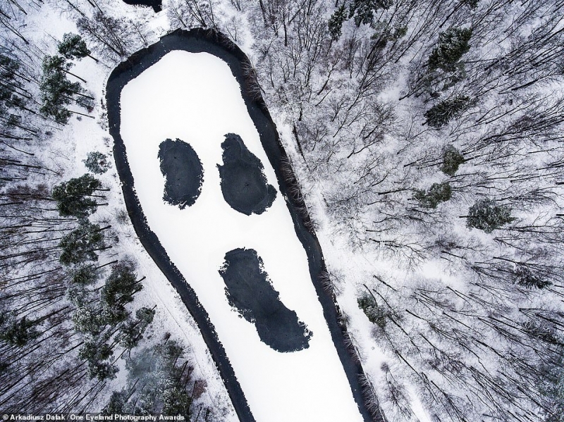 Bức ảnh chụp tại một dòng sông và rừng Lagiewnicki phủ đầy tuyết trắng ở thành phố Lodz (Ba Lan) đã giúp nhiếp ảnh gia người Ba Lan - Arkadiusz Dalak - giành giải bạc trong hạng mục Thiên nhiên. Khi nhìn vào bức hình, tôi không thể tin vào mắt mình. Nó giống mặt nạ trong bộ phim kinh dị nổi tiếng Scream, tác giả chia sẻ.