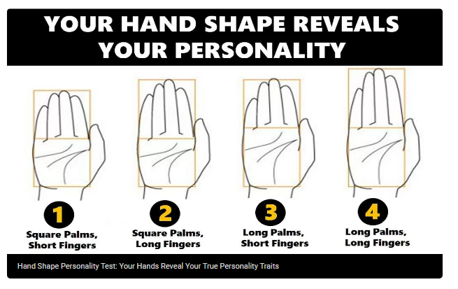 Nghiên cứu cho thấy có 4 hình dạng bàn tay cơ bản và có mối liên hệ đến tính cách con người