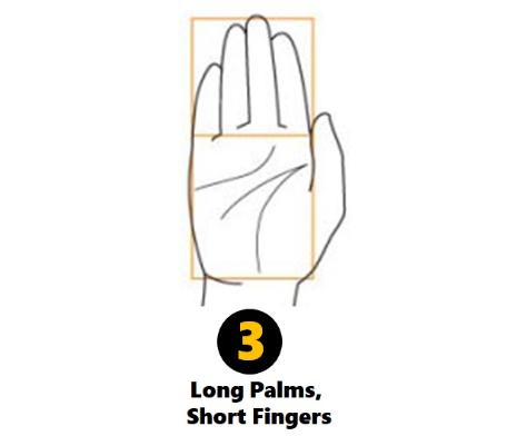 Bạn có tố chất của người lãnh đạo nếu sở hữu lòng bàn tay hình chữ nhật, ngón tay ngắn