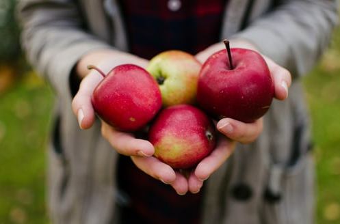 Ăn một quả táo mỗi ngày giúp giảm thiểu việc sử dụng thuốc không cần thiết