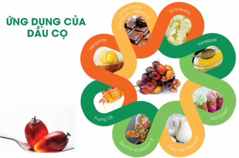 Dầu cọ được sử dụng rộng rãi trong ngành công nghiệp thực phẩm - Ảnh: Malaysian Palm Oil Council