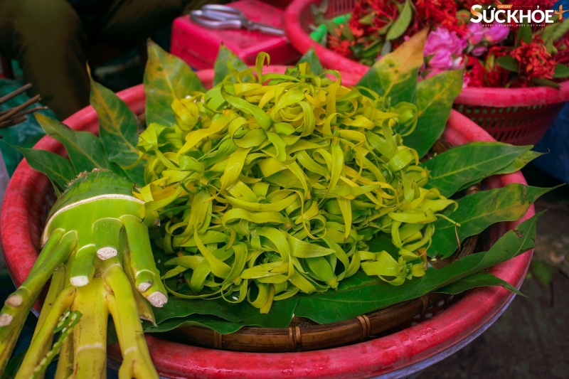 Hoa hoàng lan có hương thơm nồng nàn nhưng vẫn dễ chịu được nhiều người yêu thích - Ảnh: Việt An/sức khỏe+