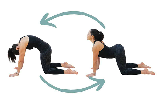 10 tư thế yoga giúp giảm mệt mỏi khi ngồi nhiều - Ảnh 1