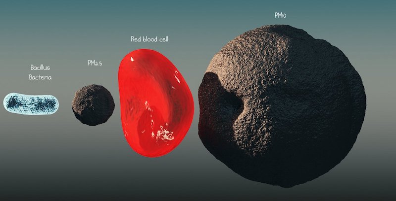 So sánh kích thước của bụi mịn PM2.5 với khuẩn bacillus, tế bào hồng cầu và bụi PM10
