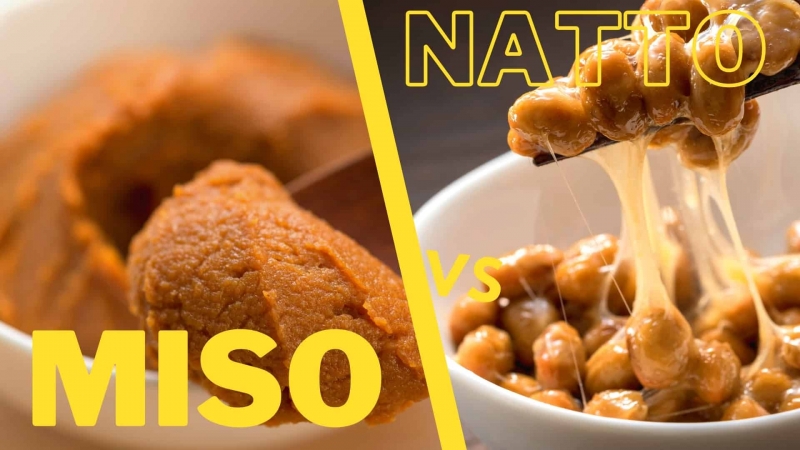 Nnhững chế phẩm đậu nành lên men như miso, natto là nguồn probiotics tự nhiên và dồi dào
