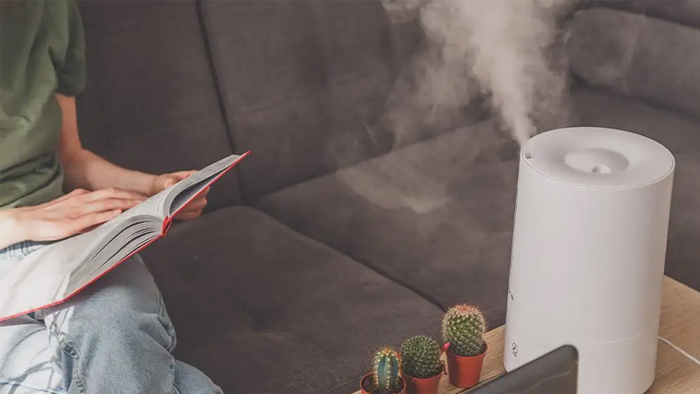 Bạn có thể dùng máy phun sương tạo ẩm để giữ không khí trong phòng không quá khô