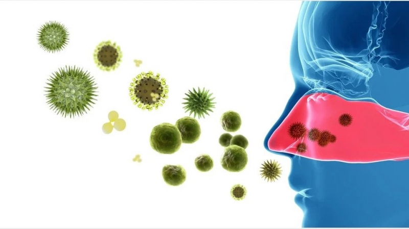 Mũi có cơ chế miễn dịch đặc biệt để bảo vệ cơ thể trước vi khuẩn, virus
