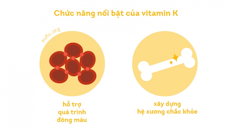 Top 7 thực phẩm giàu vitamin K - Ảnh 2