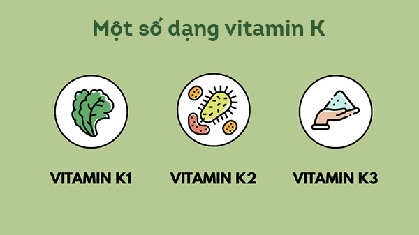 Top 7 thực phẩm giàu vitamin K - Ảnh 1
