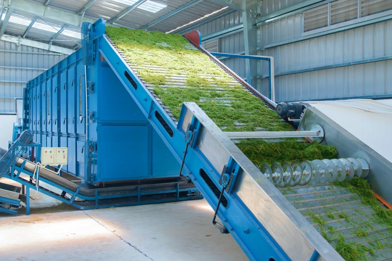 Hình 2: Hệ thống sấy cỏ sử dụng khí mê-tan được xử lý qua Biogas giúp trang trại Vinamilk tiết kiệm được nhiều chi phí điện năng khi vận hành