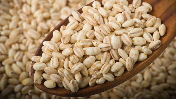 Lúa mạch ngọc trai là một nguồn protein và chất xơ dồi dào giúp điều chỉnh lượng đường máu và cải thiện sức khỏe đường ruột.