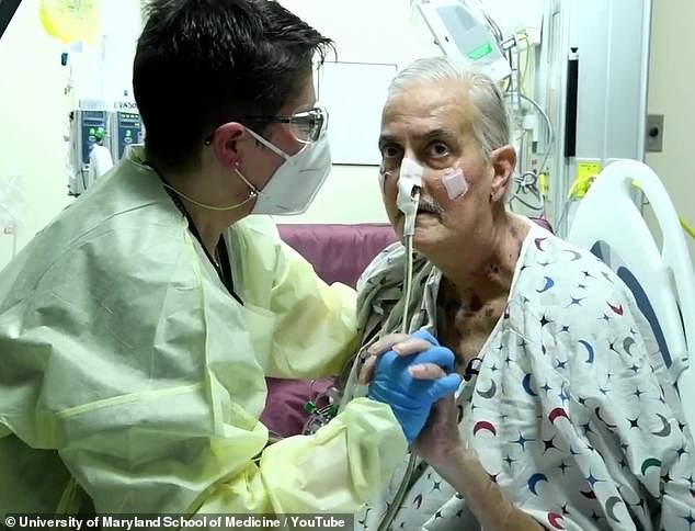 David Bennett, 57 tuổi, ở Hagerstown, Maryland, bệnh nhân đầu tiên sống được 2 tháng sau cuộc phẫu thuật ghép thay thế quả tim lợn, và tử vong do nhiễm trùng, không phải do thải ghép - Ảnh: Dailymail