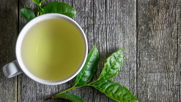 Uống trà xanh có thể giúp giảm mỡ nội tạng, giảm cân hiệu quả