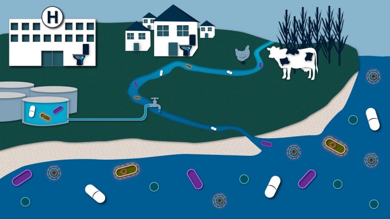 Minh họa một số nguồn dư lượng kháng sinh trong môi trường nước - Ảnh: Woods Hole Oceanographic Institution