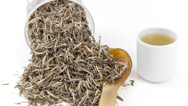 Uống bạch trà có thể làm giảm tác động xấu của ô nhiễm môi trường gây hại cho thận, tim, gan, phổi và não.