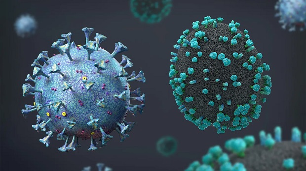 COVID-19 và cúm do 2 virus khác nhau gây ra