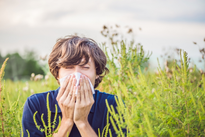 Bạn nên hạn chế tiếp xúc với phấn hoa - yếu tố có thể kích thích triệu chứng dị ứng