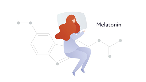 Melatonin là chìa khóa của đồng hồ cơ thể điều hành các nhịp sinh học của cơ thể như thức, ngủ